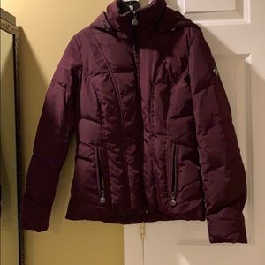 Purple winter coat